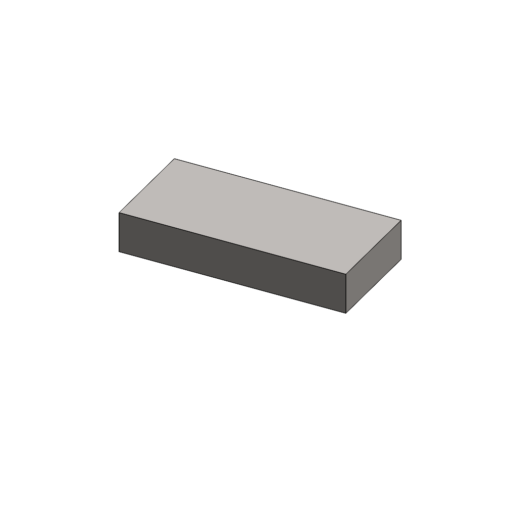 Calibration Weight 60g