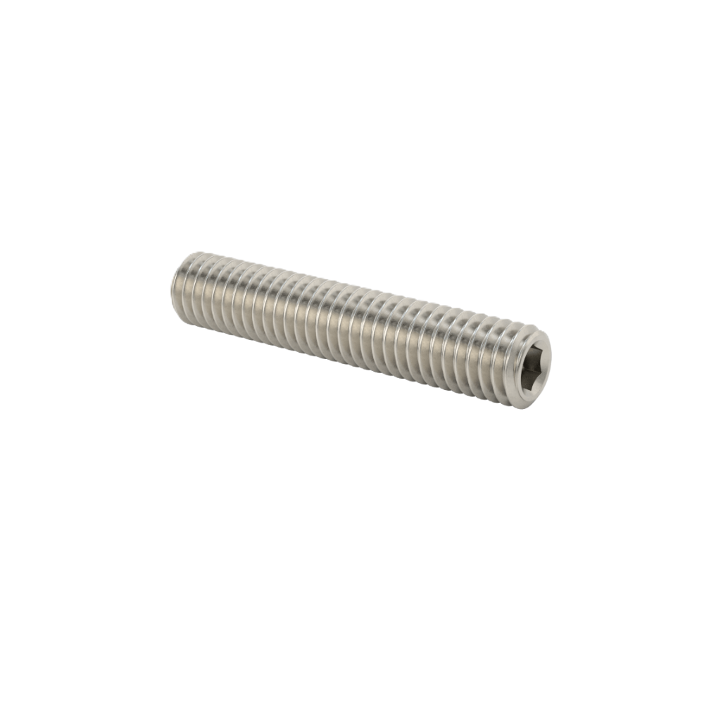 Set Screw M3 x 0.5 x 16mm (SUS)