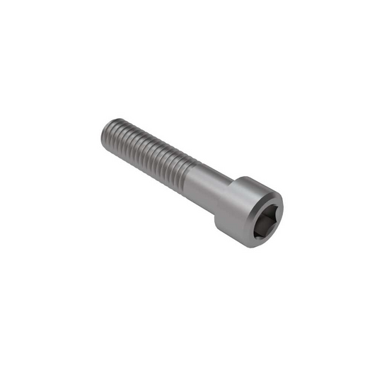 Socket Head Cap Screw M3x0.5x30mm (SUS)